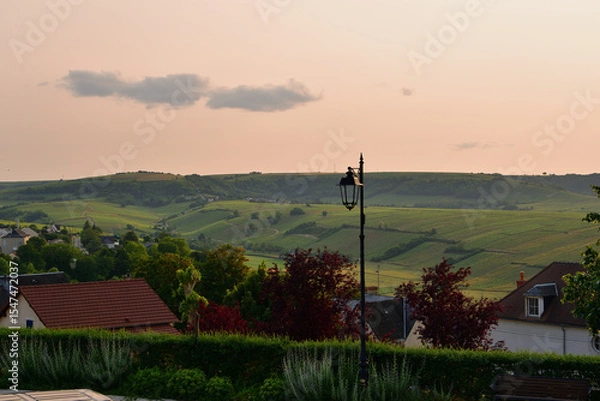 Obraz Sancerre, France. Vineyards at Sunset Viewed from a Hilltop. June 8, 2025.