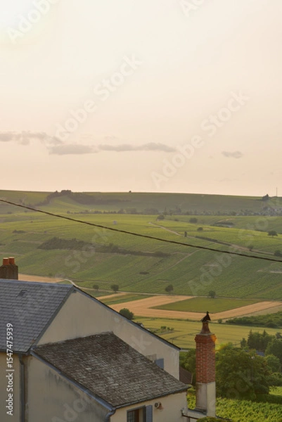 Obraz Sancerre, France. Vineyards at Sunset Viewed from a Hilltop. June 8, 2025.