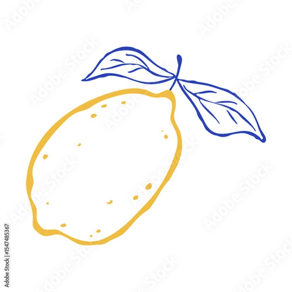 Fototapeta Flat vector illustration of single lemon with two leaves. Hand drawn line art italian style. Citrus tropical fruits. Use for print, logo