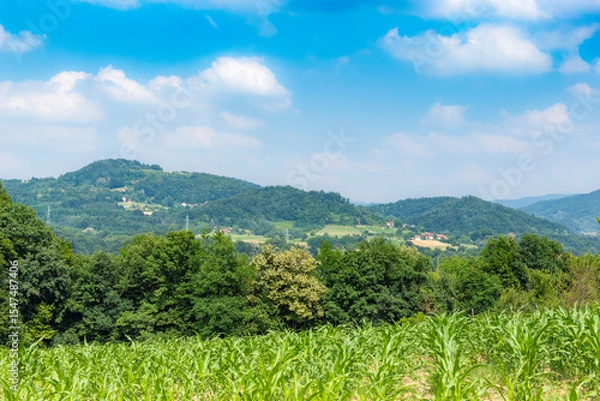 Fototapeta Summer landscape with mountains and fields in western Serbia