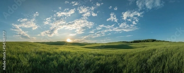 Fototapeta Panoramic view of a vibrant green field under a cloudy sky at sunset