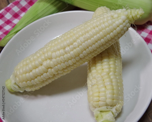 Obraz トウモロコシ、収穫のイメージ、夏野菜、白いトウモロコシの写真