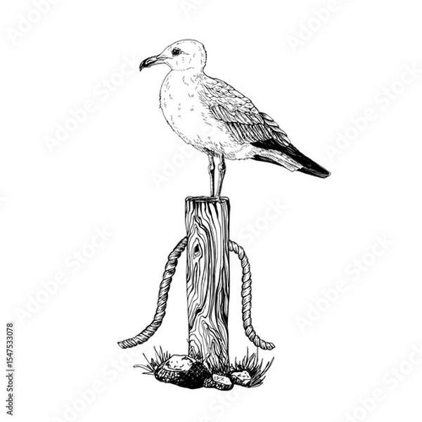 Fototapeta A seagull perched atop a weathered wooden post wrapped with a rope, grounded on grass and rocks. Detailed black and white hand drawn vector illustration. Graphic sketch isolated on white.