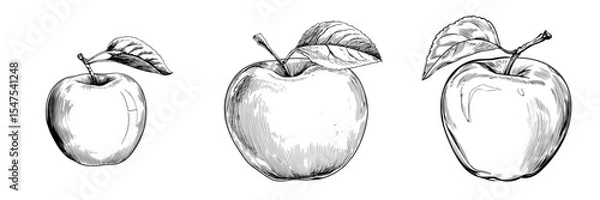 Fototapeta The illustration features a black line drawing of an apple in a modern, hand-drawn style, characteristic of contemporary graphic art and reminiscent of a logo