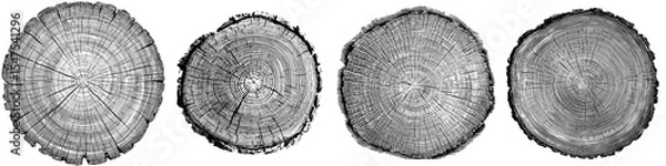 Fototapeta A cross-sectional wood texture featuring tree rings, presented as a cut slice of a wooden stump against a white background, showcasing a textured surface with rings and cracks