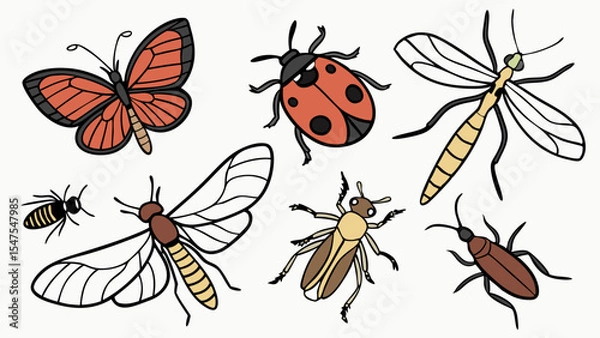 Obraz Simple colorful illustration set of various common insects and bugs butterfly ladybug bee beetle isolated on white vector