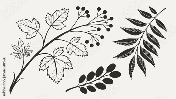 Obraz Hand drawn botanical illustration set branches leaves berries sketch black white nature design elements