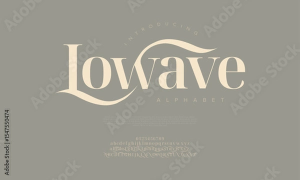 Fototapeta Inspired serif font with soft curves and modern elegance