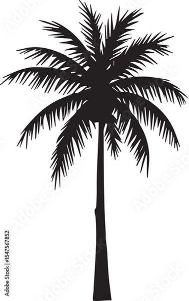 Fototapeta silhouette of palm tree