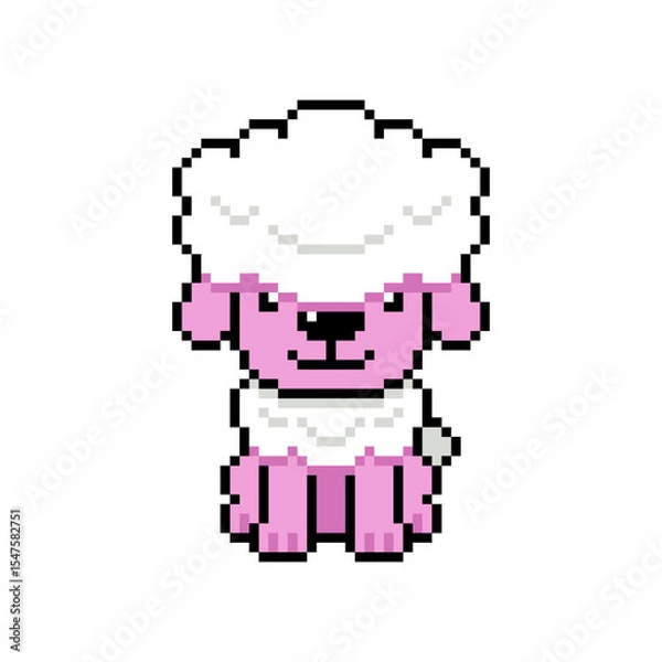 Obraz Pixel art cute poodle dog vector in retro style