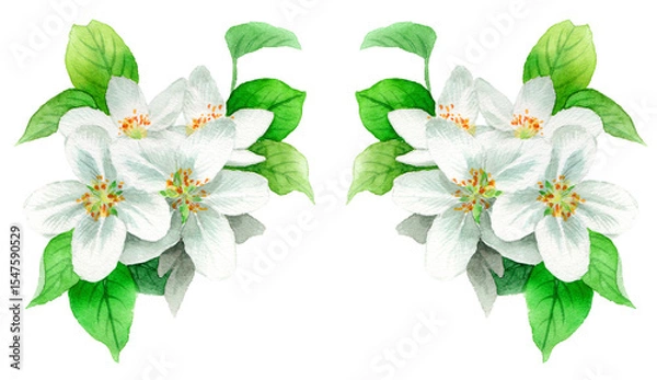 Obraz 水彩で描いたりんごの花のフレーム素材