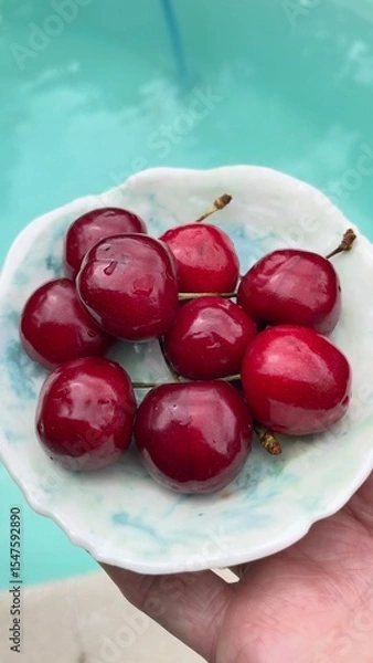 Obraz fresh red radish