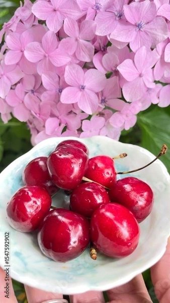 Obraz cherries in a bowl