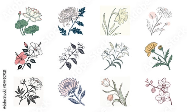 Fototapeta Elegant vector illustrations of twelve diverse floral arrangements and botanical elements