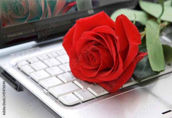 Obraz Rose on the keyboard