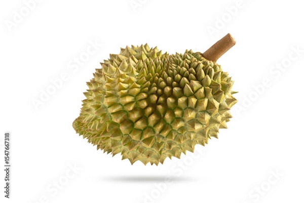 Obraz Fresh durian on white background. Durian fruit isolated on white with clipping path.