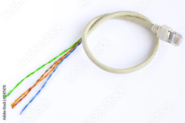 Fototapeta cut network cable