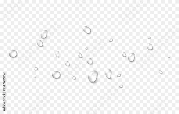 Obraz Vector water drops. Drops png, condensation on the window, on the surface. Realistic drops on an isolated transparent background.