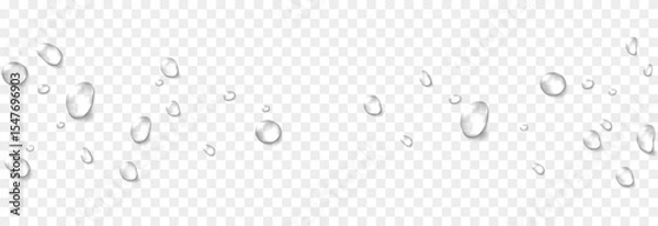 Obraz Vector water drops. Drops png, condensation on the window, on the surface. Realistic drops on an isolated transparent background.