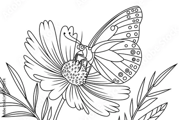 Fototapeta Butterfly rests on a detailed flower.
