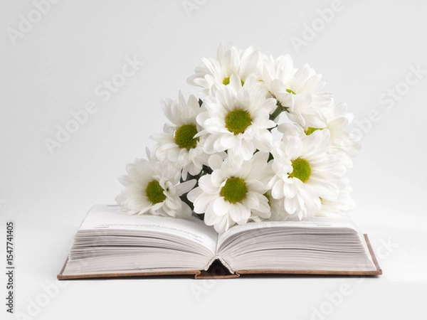 Fototapeta a bouquet of chamomile flowers and old books on a table on a natural background. a composition with books in a rustic style. the concept of reading and relaxing. the summer season. template for regist