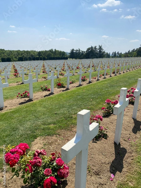 Obraz Rows of countless white crosses in a military cemetery, symbolizing sacrifice and remembrance, under a peaceful sky.