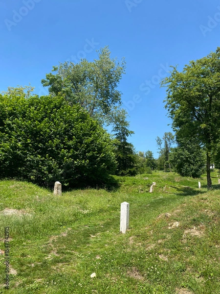 Obraz View of the remnants of Fleury-devant-Douaumont, France, where only craters remain, marking the devastation of World War I battles