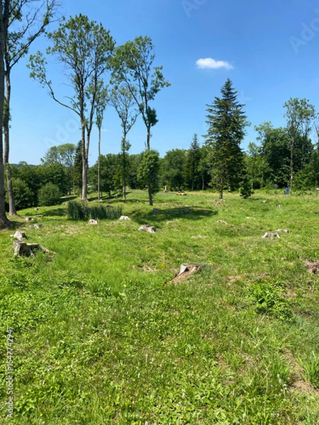 Obraz View of the remnants of Fleury-devant-Douaumont, France, where only craters remain, marking the devastation of World War I battles