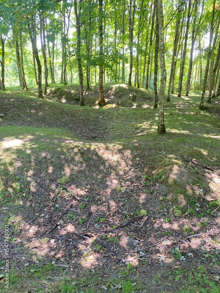 Obraz View of the remnants of Fleury-devant-Douaumont, France, where only craters remain, marking the devastation of World War I battles