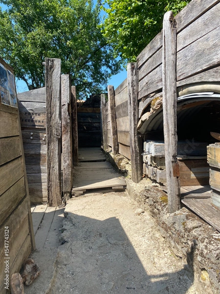 Obraz Reconstructed second-line trenches from World War I at Verdun, France, showing defensive structures and terrain used during the Great War.