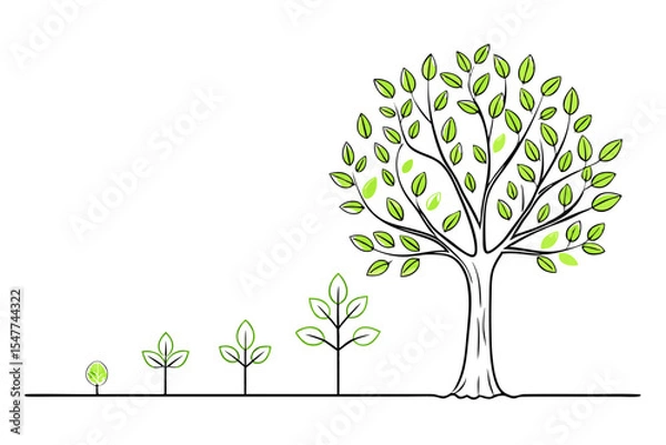 Fototapeta Tree Development Stage Vector Art