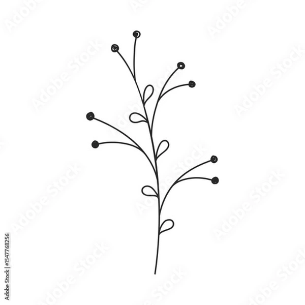 Fototapeta Decorative berry twig. Hand drawn illustration of curved stem and berry-like dots. Simple botanical element in linear doodle style. Vector 10 EPS.