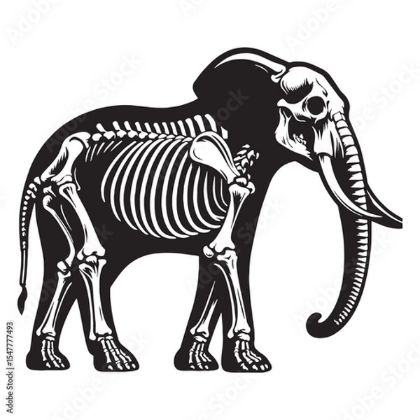 Obraz Structural beauty from the wild – Elephant skeleton silhouette with naturalistic Elephant skeleton vector – Elephant skeleton illustration

