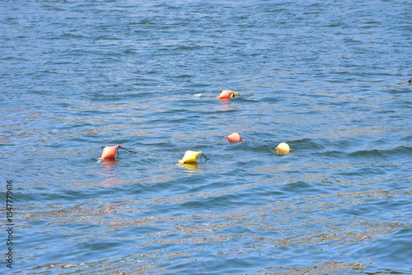 Fototapeta Group of red and yellow two-cone buoys serving unknown purpose. Location: Porto Portugal