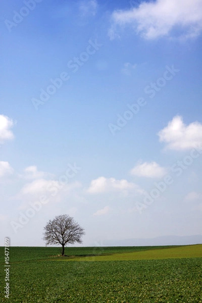 Obraz Baum im Frühling