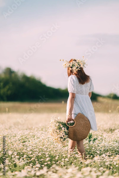 Obraz Daisy field flowers, woman, nature. Walks at day with daisies on head basket in flower field.