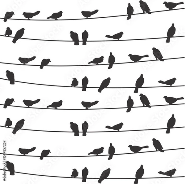 Obraz Bird on Wire Black Vector Illustration