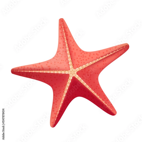 Obraz Red starfish on a white background, for decoration.