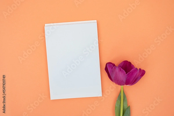 Fototapeta Blank greeting card with purple tulip on orange background
