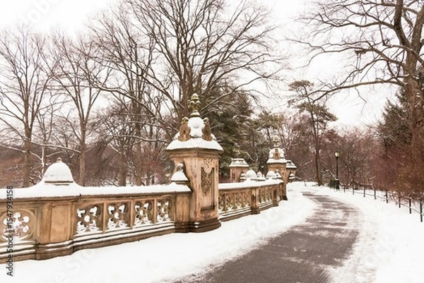 Obraz Central Park Nova York