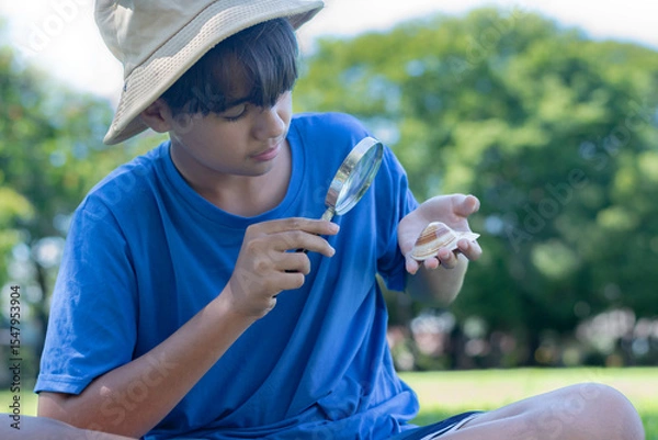 Fototapeta A thoughtful boy closely observes two seashells in his hands. The image reflects curiosity, learning, and a love for nature in an outdoor environment.