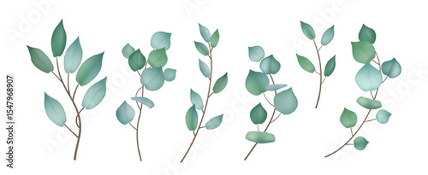 Fototapeta Floral set with green eucalyptus leaves. Set of eucalyptus branches for design of cards, wedding invitations