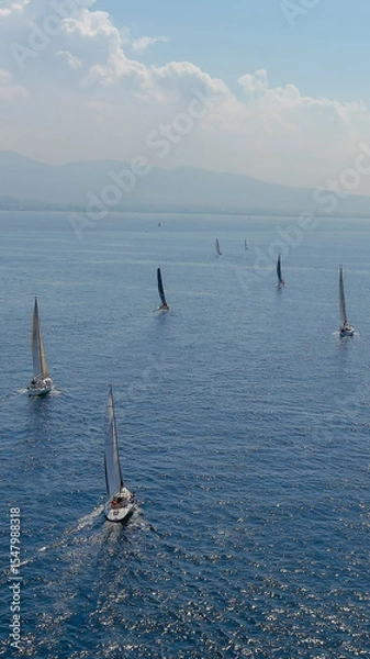 Obraz sailboats in the sea