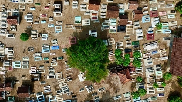 Fototapeta Overhead aerial view of a densely packed traditional Indonesian cemetery with colorful graves and a central green tree