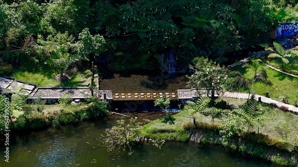 Fototapeta Idyllic aerial scene of a charming footbridge over a stream in a lush green park, surrounded by ferns and flowering trees