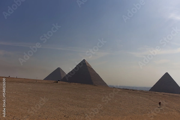Fototapeta View of the Pyramids of Giza, Egypt