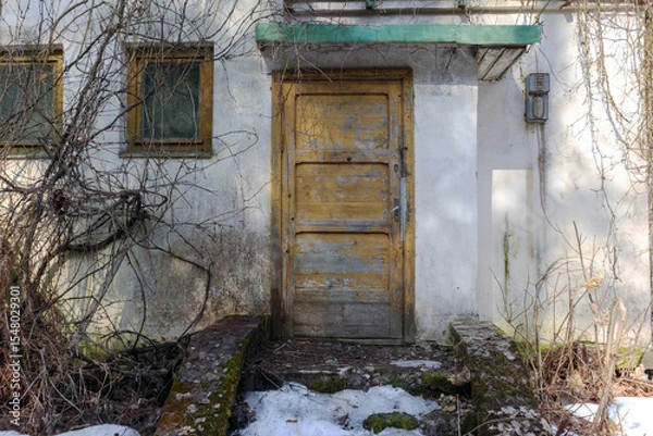 Fototapeta 
An old, time-worn entrance to a building with a yellow wooden door and two windows, partially overgrown with creepers, and remnants of snow under the stairs.