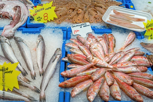 Obraz Fish and mantis shrimps for sale at a market in Barcelona, Spain