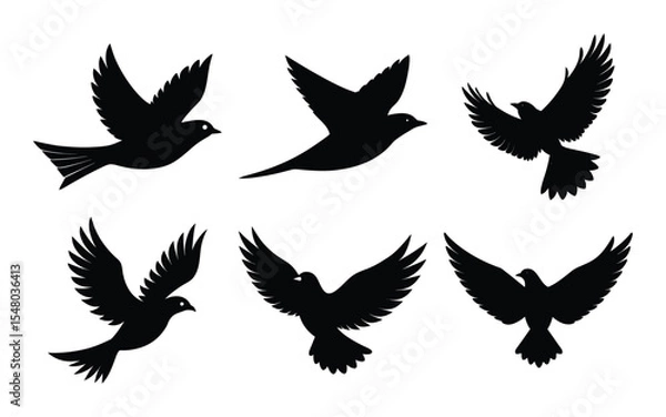 Fototapeta set of black silhouettes of doves in flight, various poses, isolated on white background.