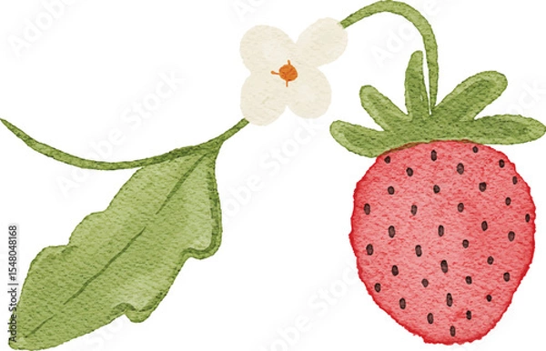 Fototapeta Watercolor Illustration of red strawberry fruits